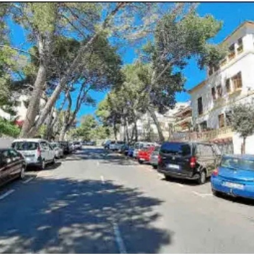 Asociación de Vecinos de Son Armadans