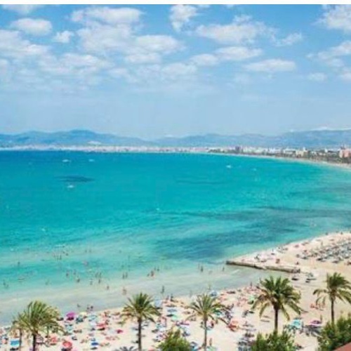 Asociación de Vecinos Playa de Palma - El Arenal