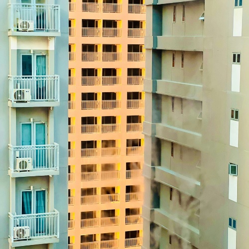 AAVV Rafal Nou Parque Rosa Bueno